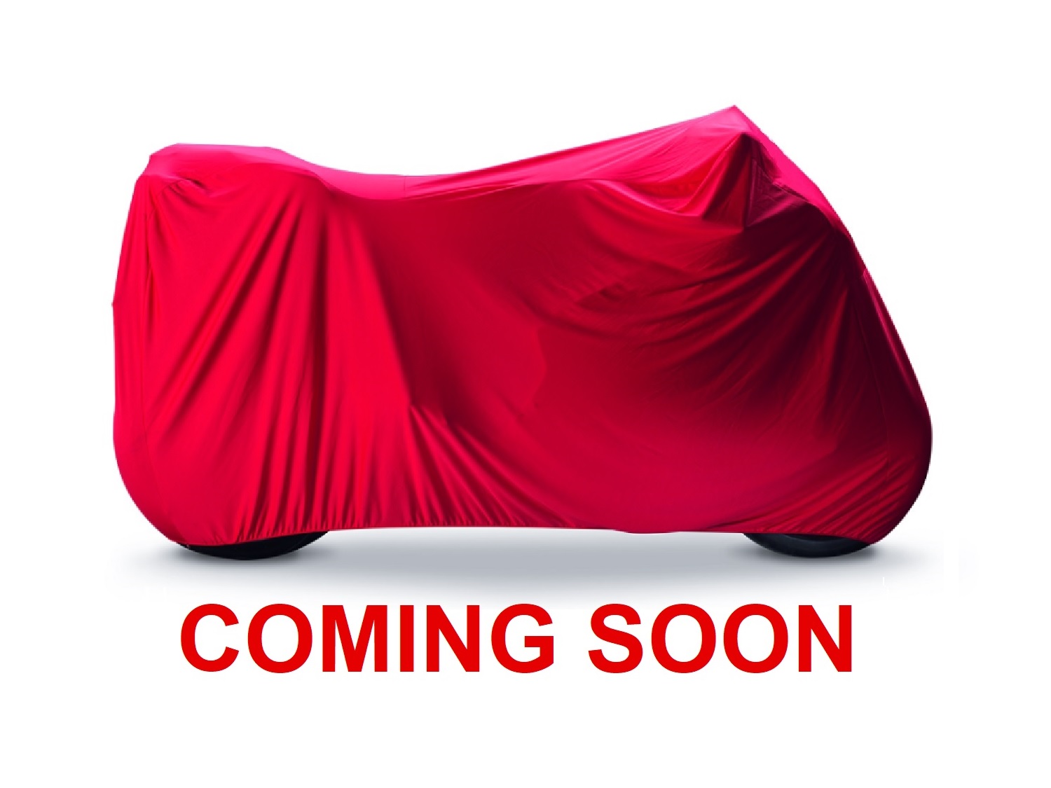 2019 Ducati Panigale V4R